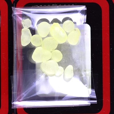 ظرف واحد مستكة يونانية عبيدو ظرف واحد مستكة يونانية عبيدو